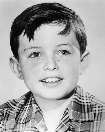 Jerry Mathers Jerry Mathers
