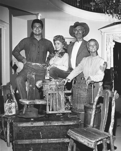 The Beverly Hillbillies