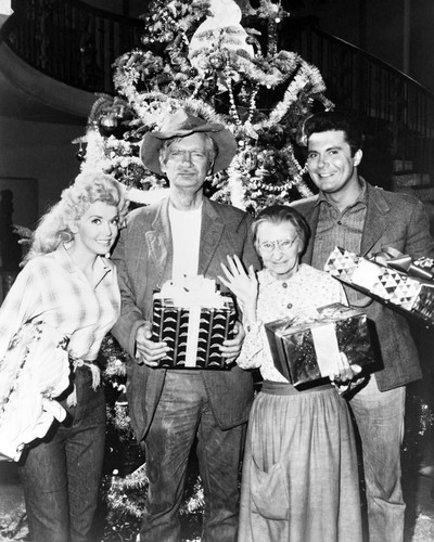 The Beverly Hillbillies