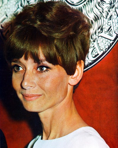 Audrey Hepburn Audrey Hepburn