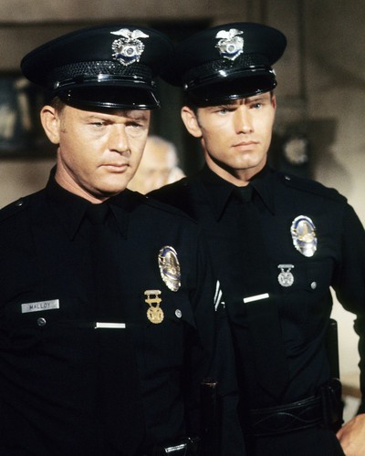Martin Milner Martin Milner