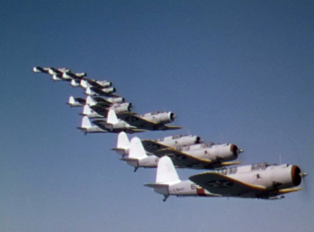 Dive Bomber
