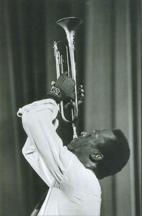Miles Davis Miles Davis