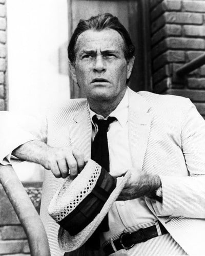 Darren McGavin