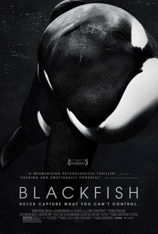 Blackfish Blackfish