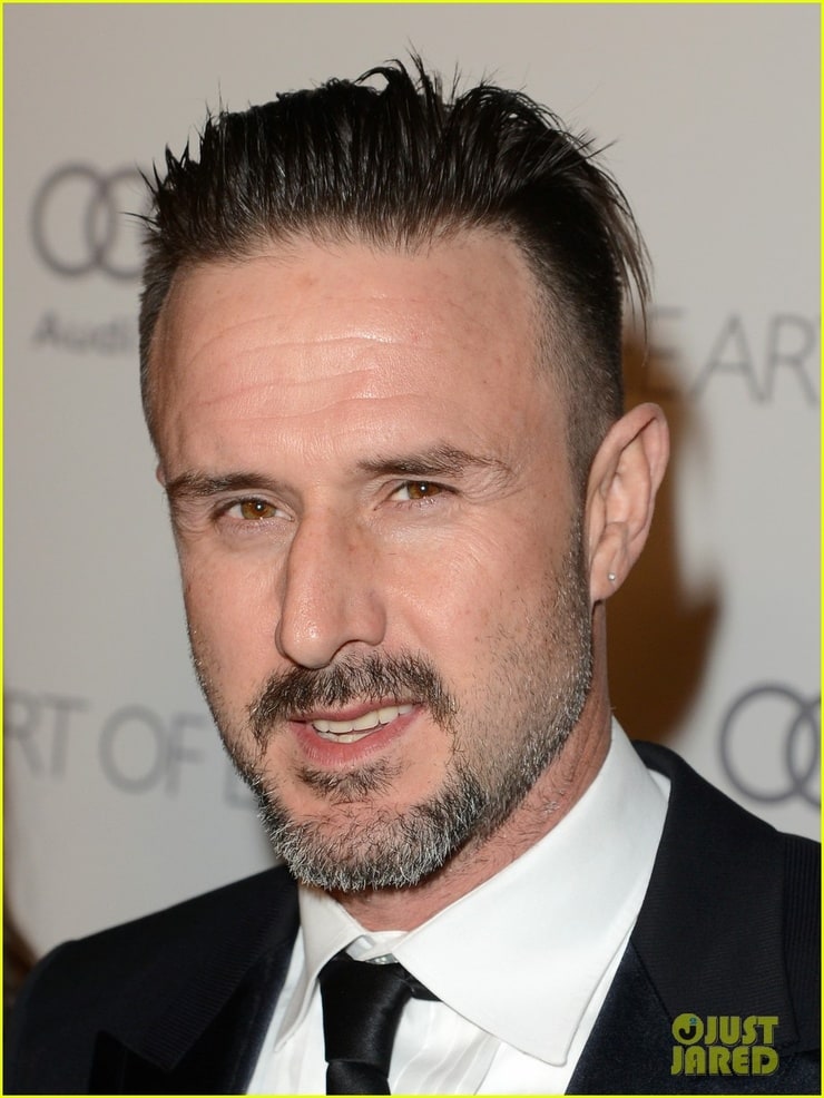 Picture of David Arquette