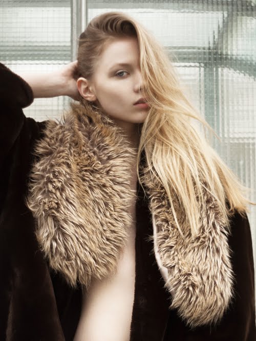Avalon Kip