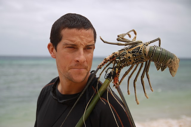 Man vs. Wild