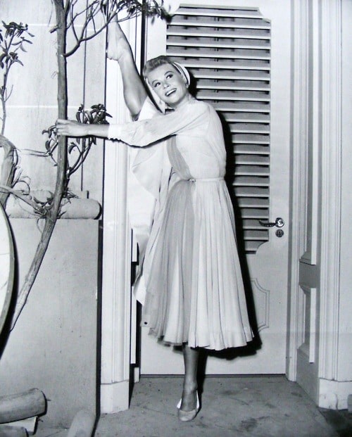 Vera-Ellen