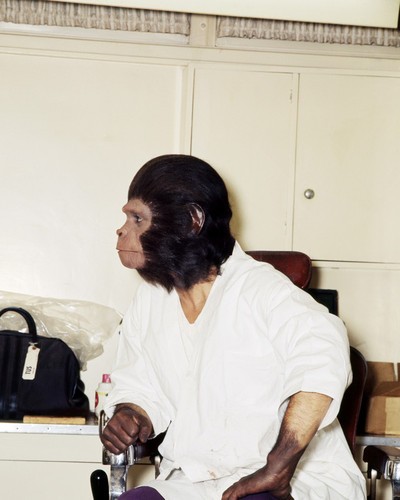 Escape from the Planet of the Apes Escape from the Planet of the Apes