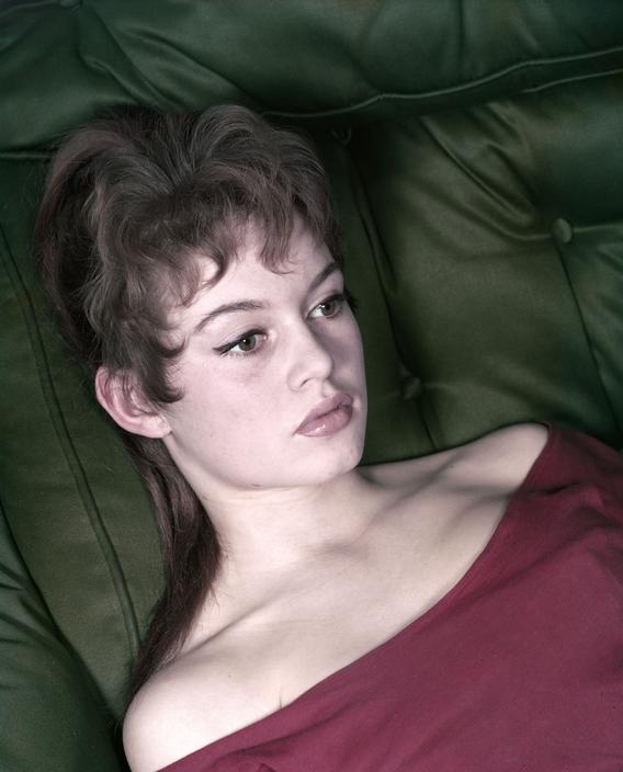 Brigitte Bardot Brigitte Bardot