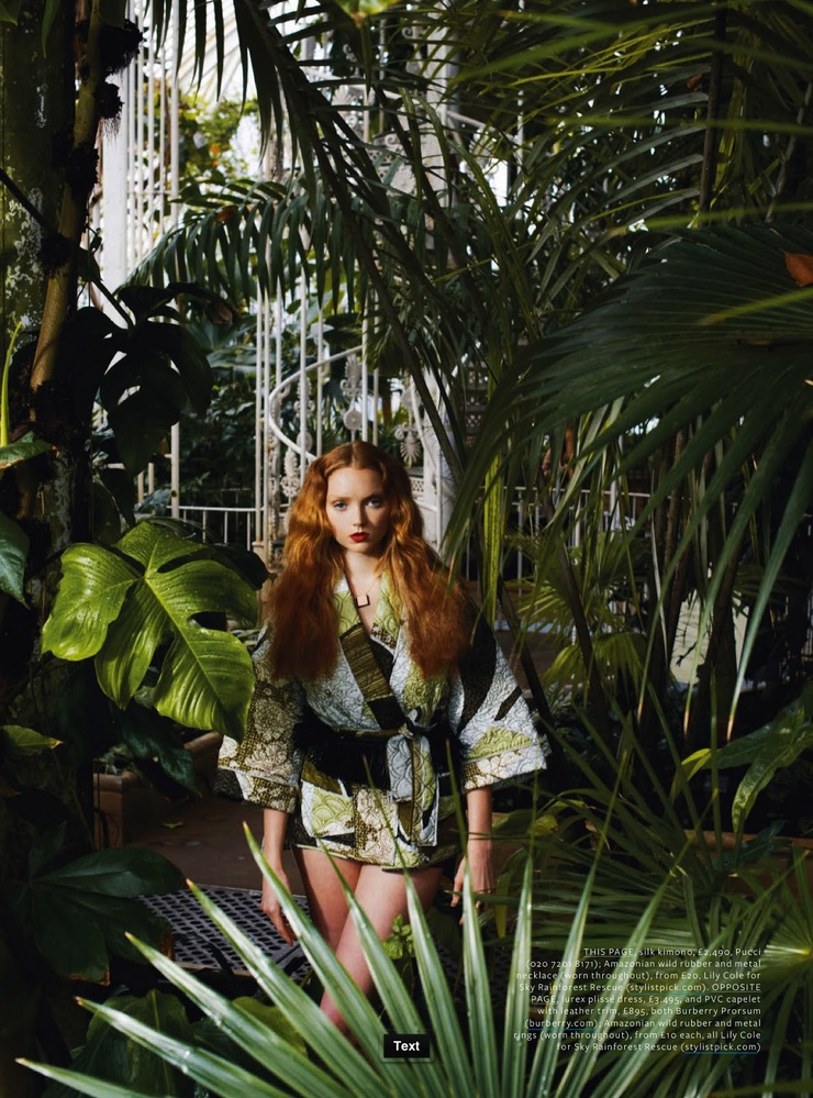 Lily Cole Lily Cole