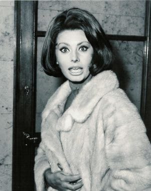 Picture of Sophia Loren