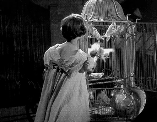 Eyes Without a Face (1962)