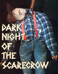 dark night of the scarecrow