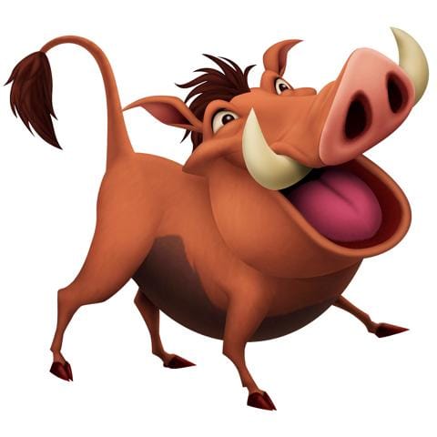 Timon & Pumbaa's Wild Adventures