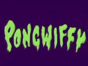 Pongwiffy