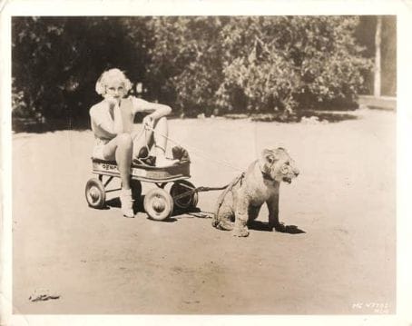 June Knight June Knight