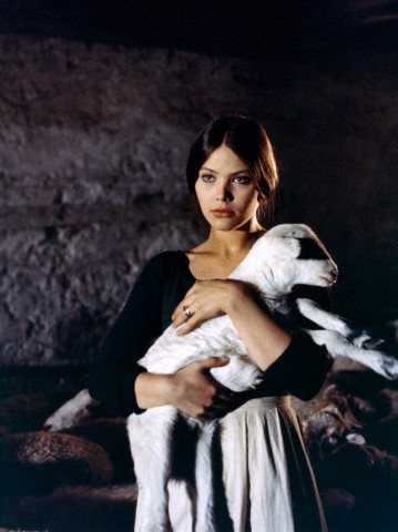 Picture of Ornella Muti