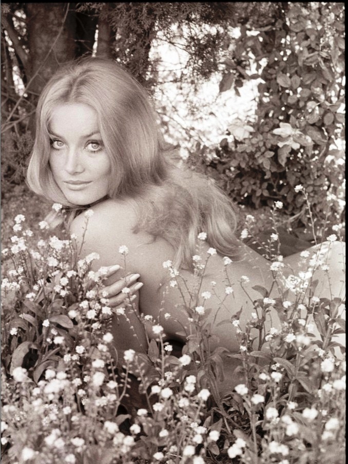 https://iv1.lisimg.com/image/5481974/678full-barbara-bouchet.jpg