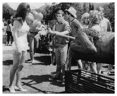 Village of the Giants (1965)