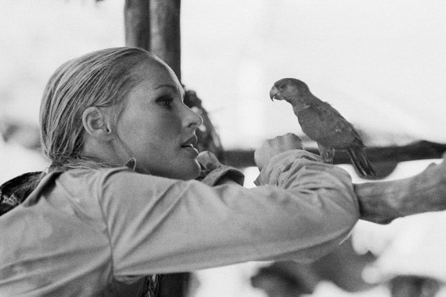 Ursula Andress