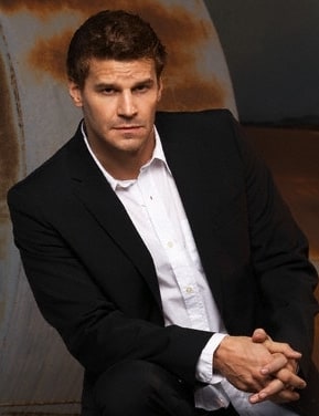 Picture of David Boreanaz