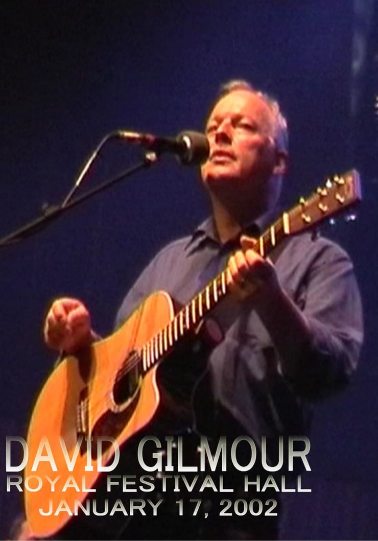 David Gilmour in Concert