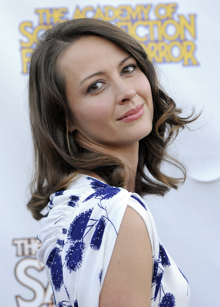 Amy Acker Amy Acker