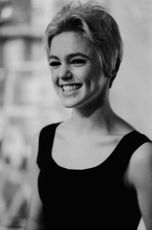 Edie Sedgwick Edie Sedgwick