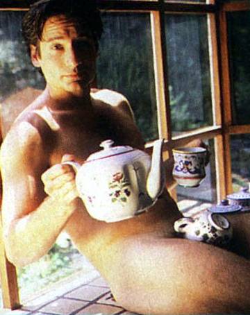 David Duchovny David Duchovny