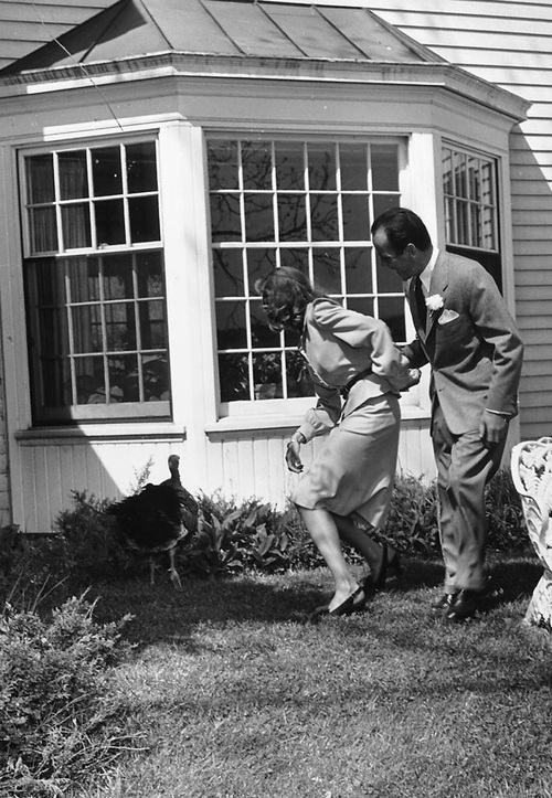 Humphrey Bogart Humphrey Bogart