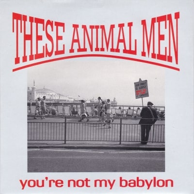 You're Not My Babylon