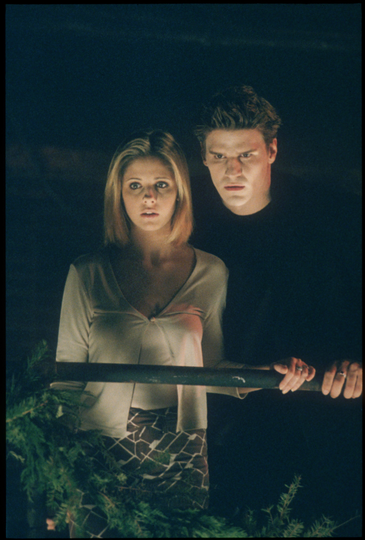 Buffy the Vampire Slayer