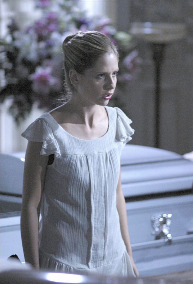 Buffy the Vampire Slayer Buffy the Vampire Slayer