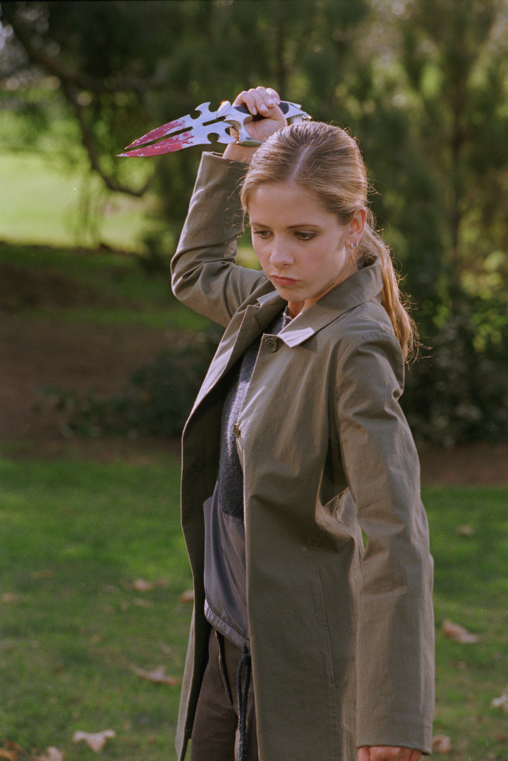 Buffy the Vampire Slayer Buffy the Vampire Slayer