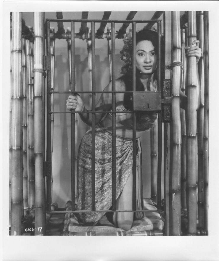 Confessions of an Opium Eater