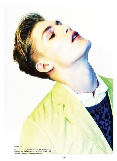 Harry Goodwins