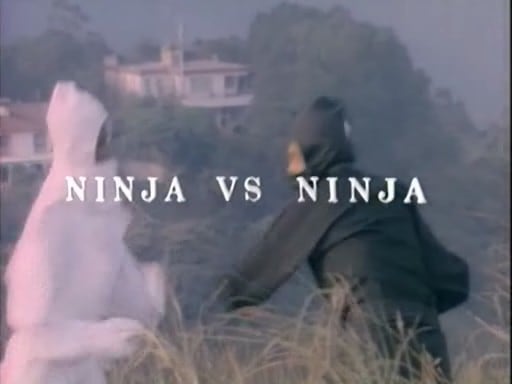 Ninja vs. Ninja