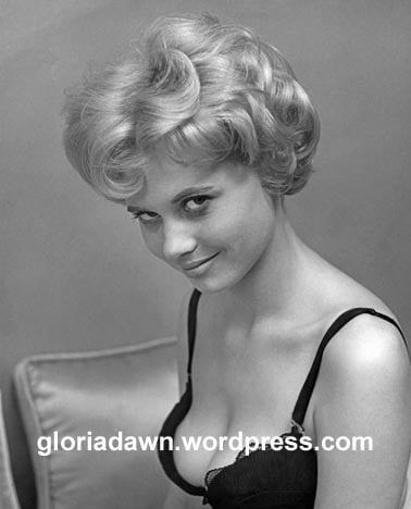 Gloria Dawn Gloria Dawn