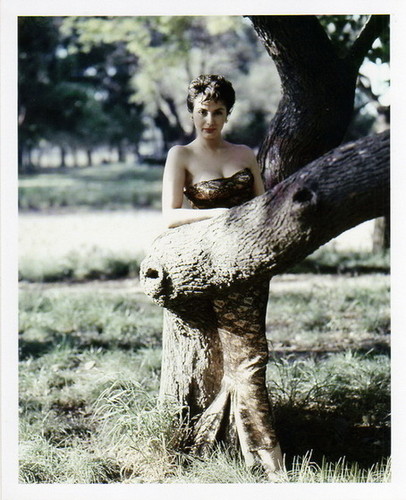 Isabel Sarli Isabel Sarli