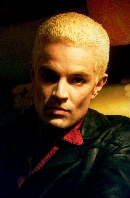 Buffy the Vampire Slayer Buffy the Vampire Slayer