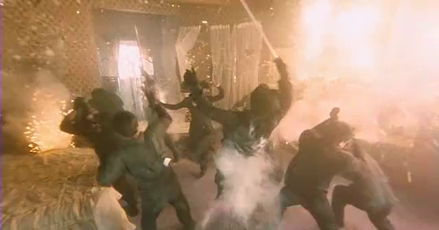 The Black Panther Warriors