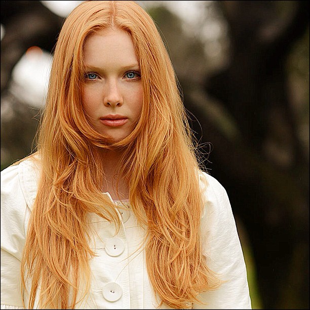 Molly C. Quinn Molly C. Quinn