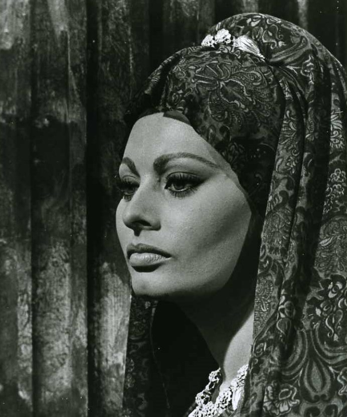 Picture of Sophia Loren