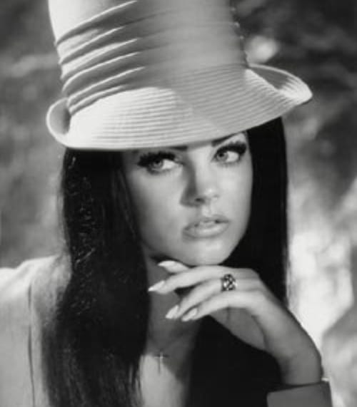 Priscilla Presley