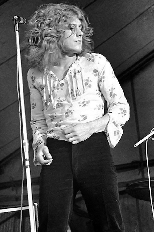 Robert Plant Robert Plant