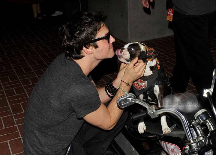 Ian Somerhalder