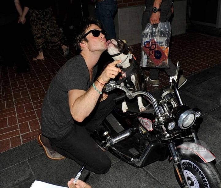 Ian Somerhalder