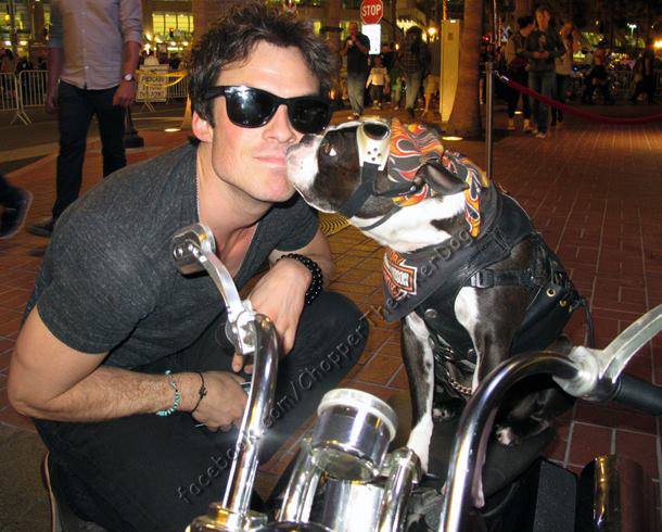 Ian Somerhalder